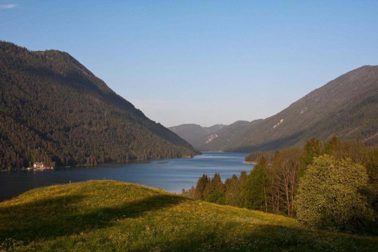 Appartements Herwig Schwarzenbacher Weissensee Eksteriør billede